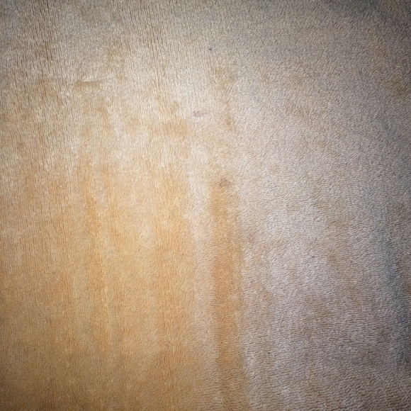 Fleece Throw Blanket - Picture 3 of 4